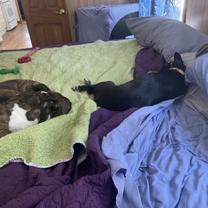 Fundraising Page: Ericca Long